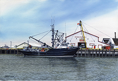 Nimpkish Producer at Steveston